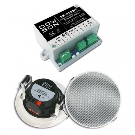 Kit de sonido Bluetooth DOYSON. Módulo + 2 Altavoces