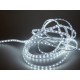 Tira led Lluria CTM - 4,8