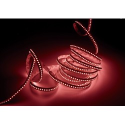 Tira led Lluria carne PINK PNK - 19,2 - 24