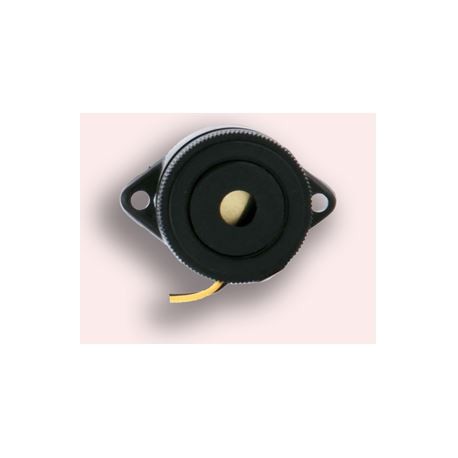 MiniZumbador RODMAN SEE-207 C.C